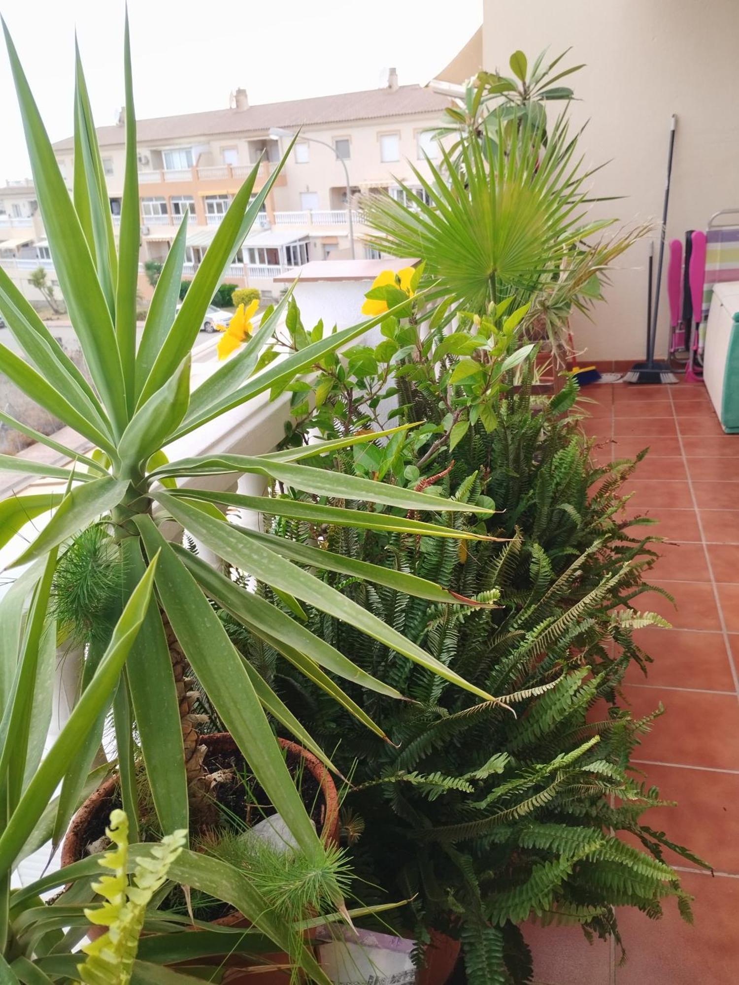 Apartmán Casa Carino Torrox Exteriér fotografie